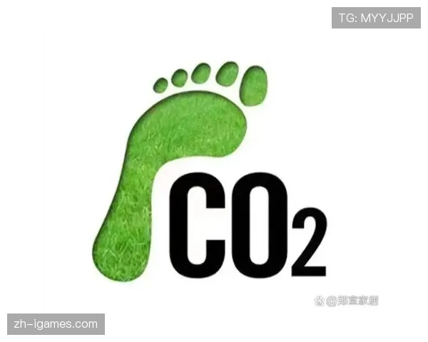 环保举措：全明星周末推行可持续发展计划减少碳足迹